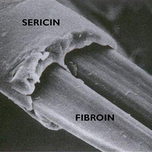 Sericin and Silk fibroin